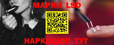 СК Волгодонск