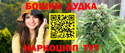 СК Волгодонск