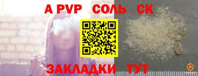 СК Волгодонск